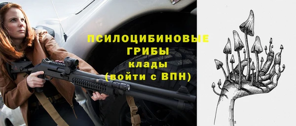 стаф Белокуриха