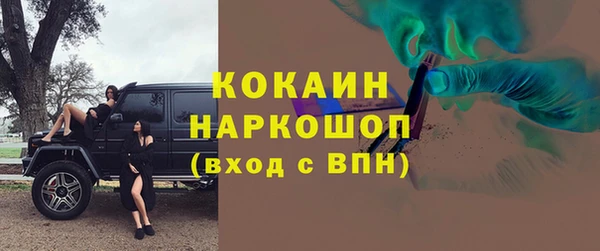 стаф Белокуриха