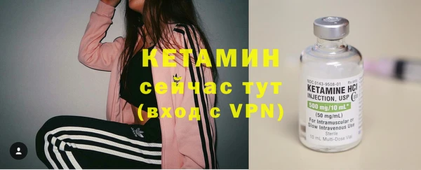 стаф Белокуриха
