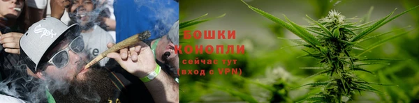 стаф Белокуриха